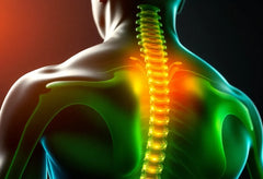 Libérez votre dos : les exercices essentiels pour vaincre la douleur lombaire