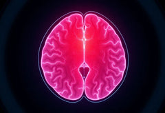 Découvrez comment une IRM peut transformer le diagnostic de votre hernie discale