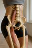 Libérez votre psoas : exercices essentiels pour chaque lecteur de pratique
