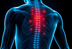 Soulagez la douleur de la hernie discale dorsale : conseils et solutions efficaces