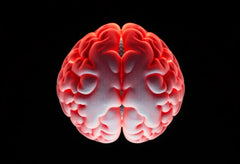 Comprendre la différence entre protrusion discale et hernie discale : ce que vous devez savoir