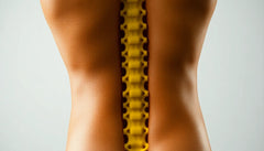 Renforcez votre dos avec ces exercices fitness incontournables pour le lecteur de pratique
